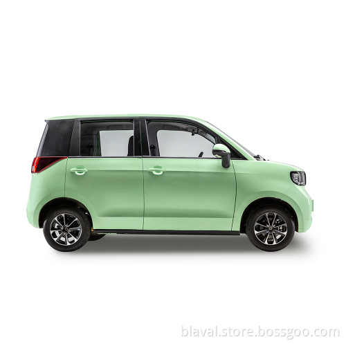 New energy high speed 110km/h range 332km 110V 220V electric car  EV